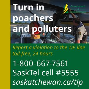 Turn in poachers and polluters