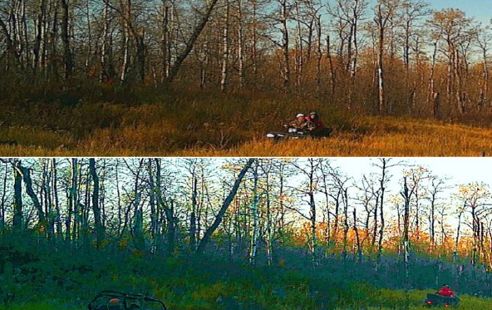 Illegal Hunting in the Moose Mountain Provincial Park Area