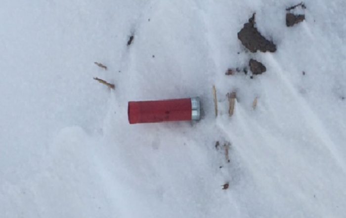 ATV Chasing and Shooting Coyotes, Also Fled from Officers Near Bladworth