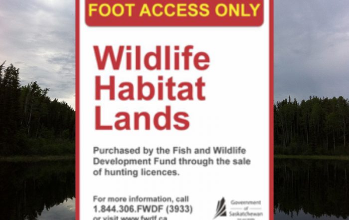 Wildlife Habitat Land in Middle Lake Area Damaged Over May Long Weekend