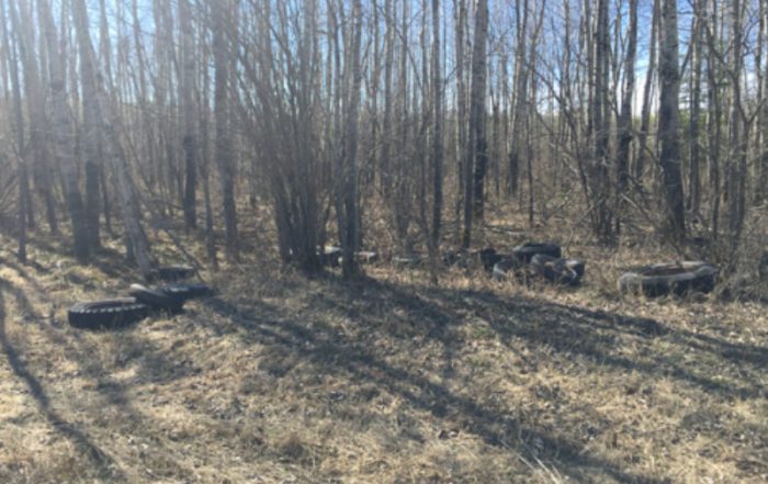 Illegal Dumping on Crown Land Near Dorintosh