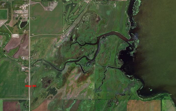 Deer Dumped Near Meadow Lake
